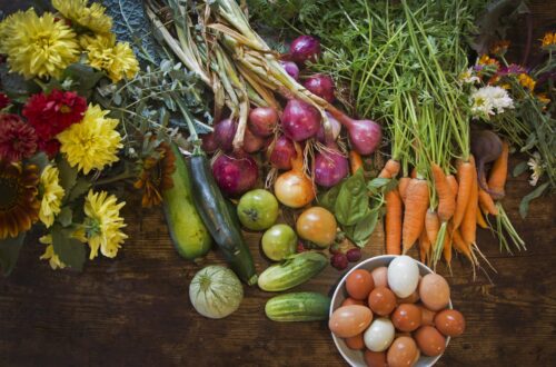 garden vegetables