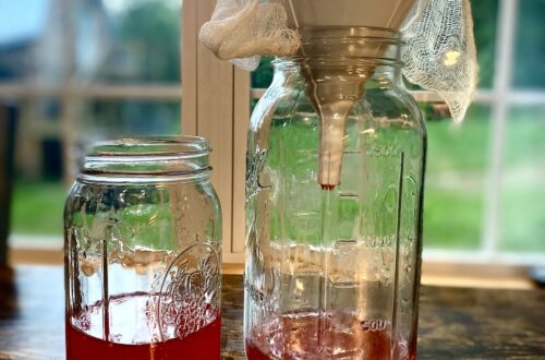 strawberry shrubs