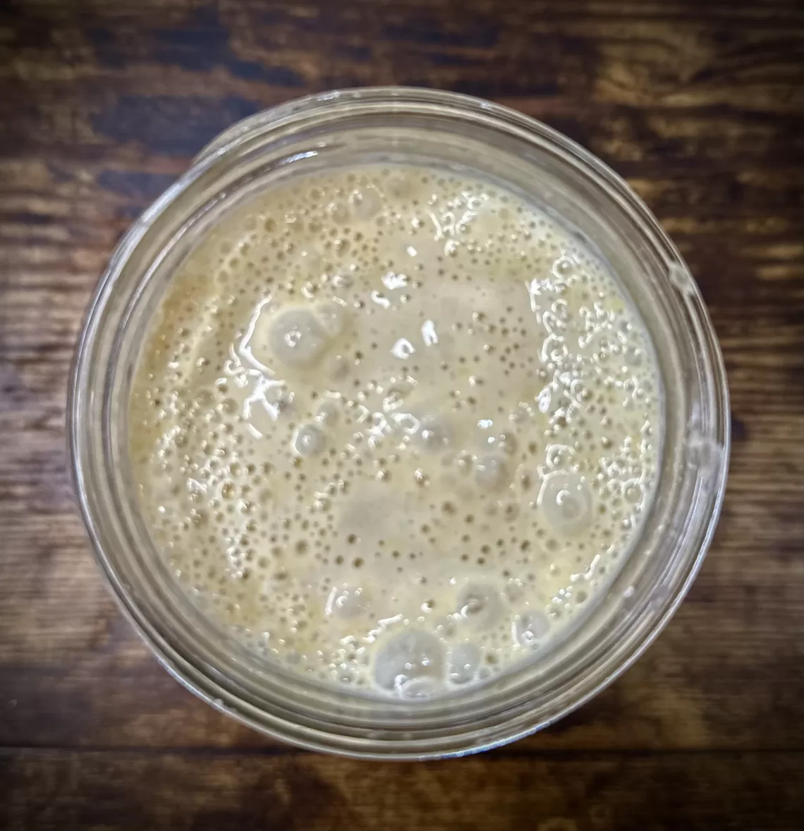 sourdough starter